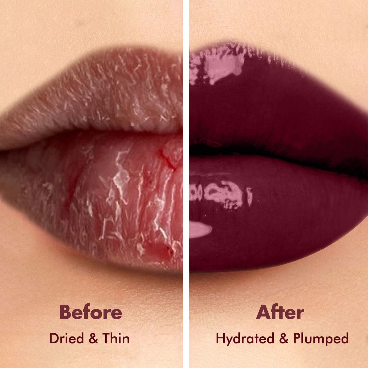 Glossy Peptide Lip Balm | 12 Hrs Hydration | 15 gms